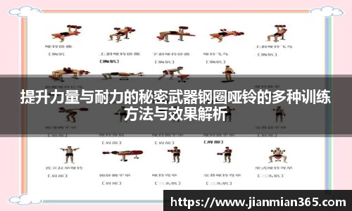 提升力量与耐力的秘密武器钢圈哑铃的多种训练方法与效果解析